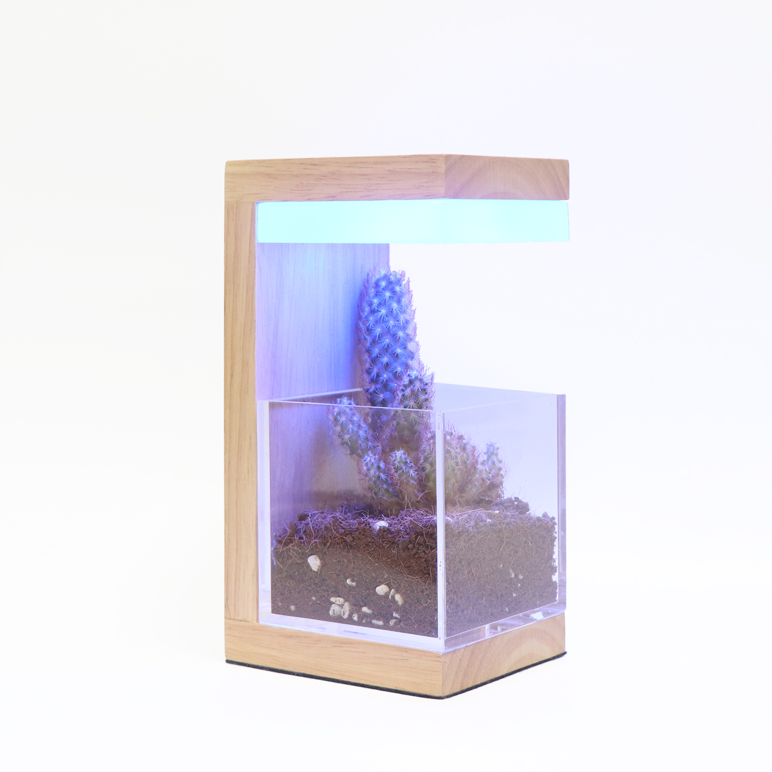 RGB 7 Colors Деревянное светодиодное растение выращивает свет 