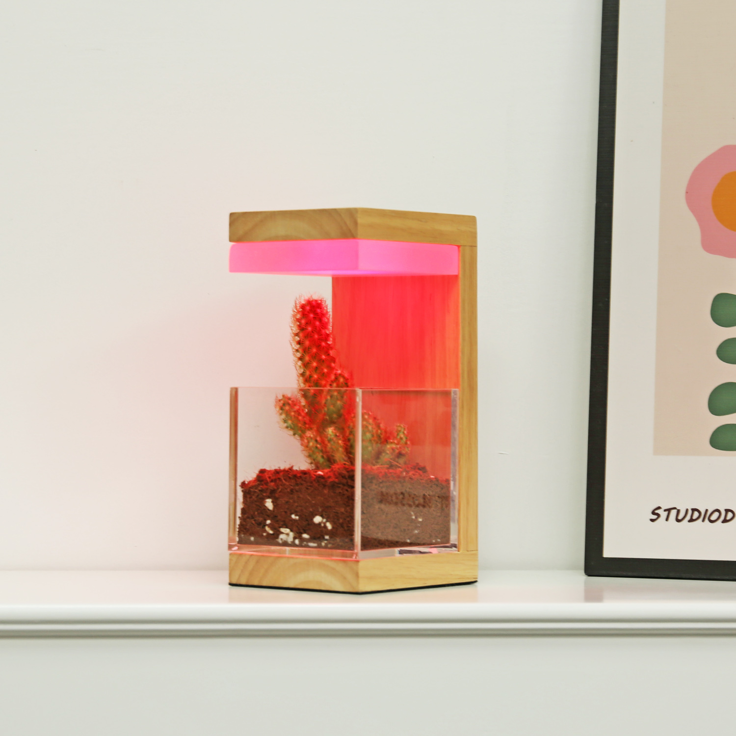 RGB 7 Colors Деревянное светодиодное растение выращивает свет 